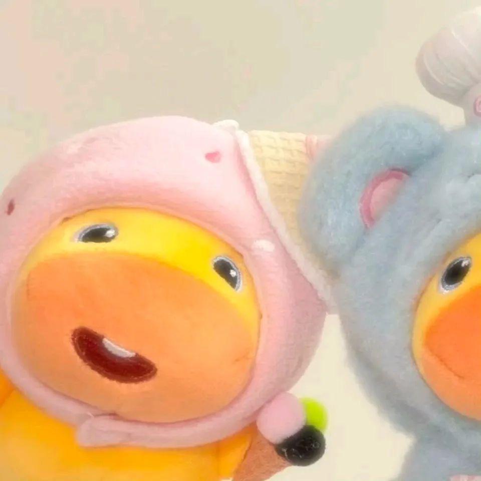 草莓味🐰🐰