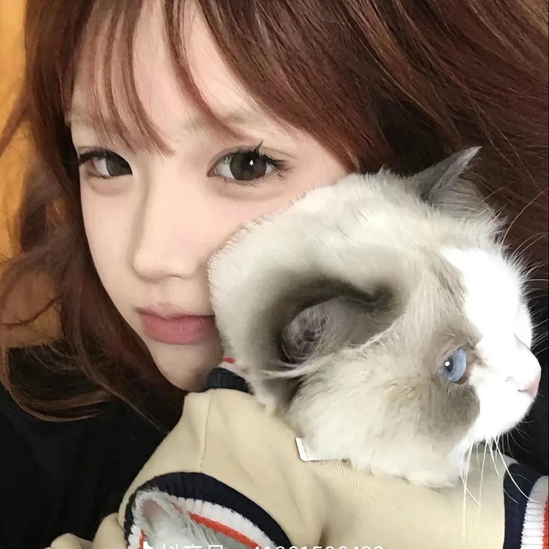 (˵¯͒〰¯͒˵)
