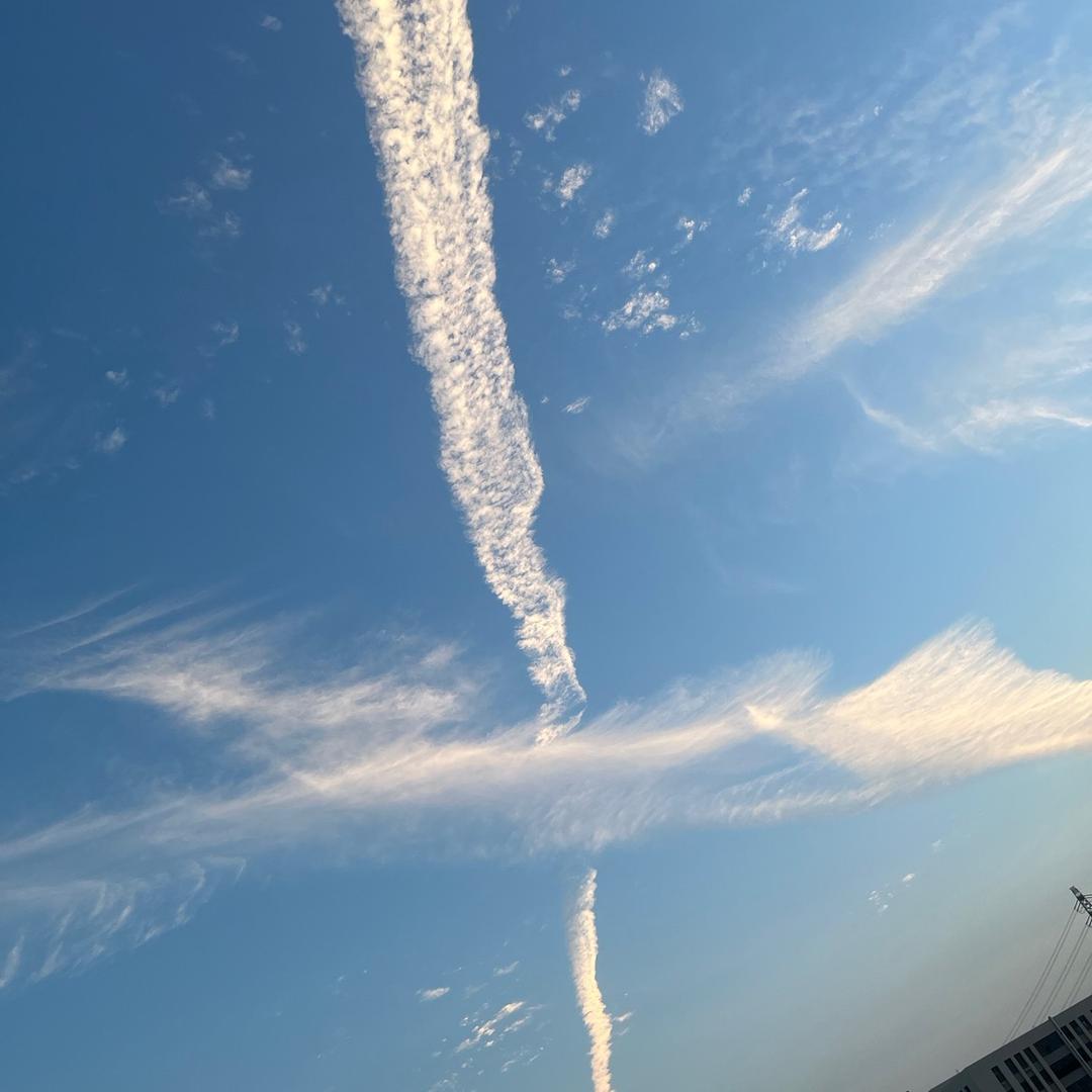 大陆网友