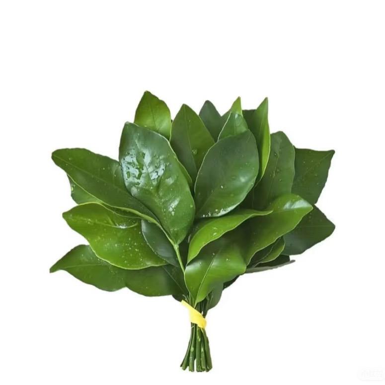 非菲