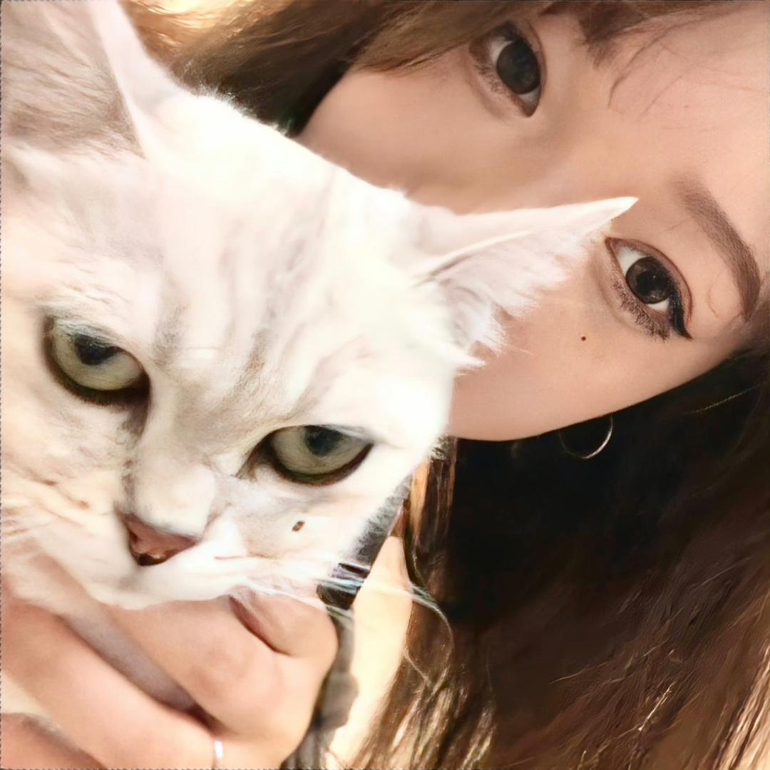 白日猫
