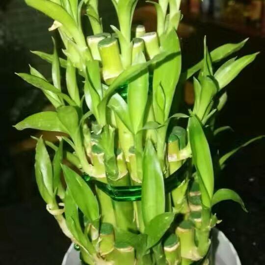 火锅知音