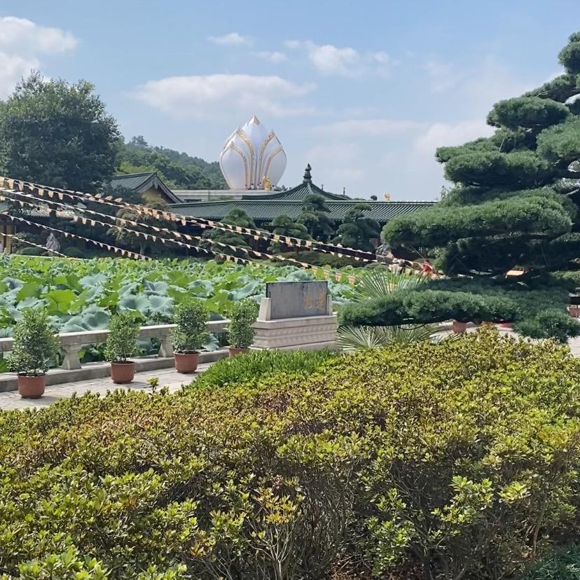 至仁至爱