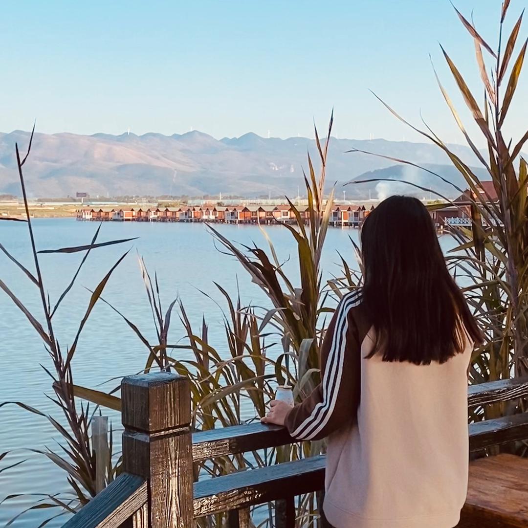 麻辣小美蛙.ღ
