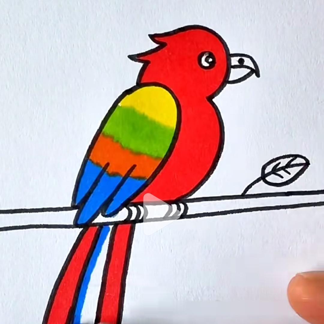 五哥