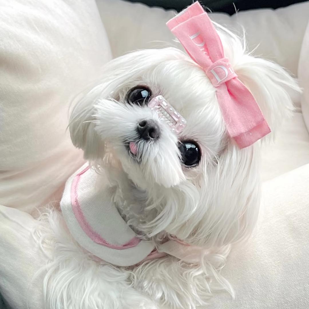 心情不好都怪你