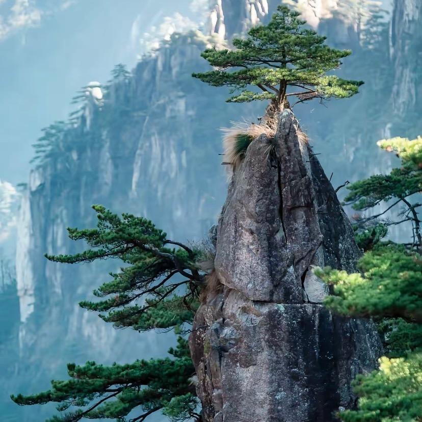 蓝華～诚信赢天下