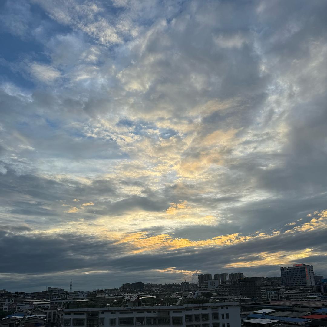 情歌没有告诉你