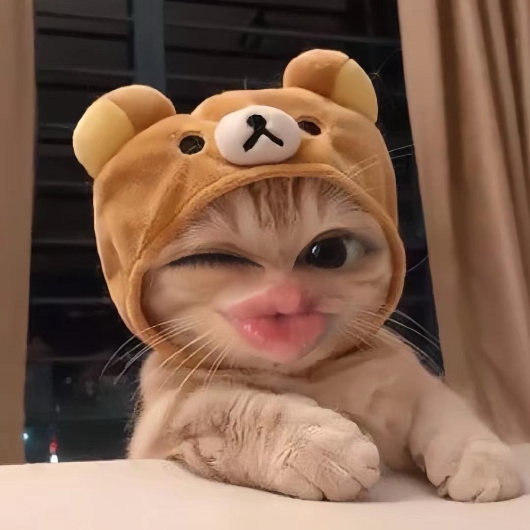 爱吃汉堡宝