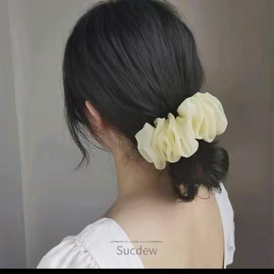 姐姐的珍宝好物