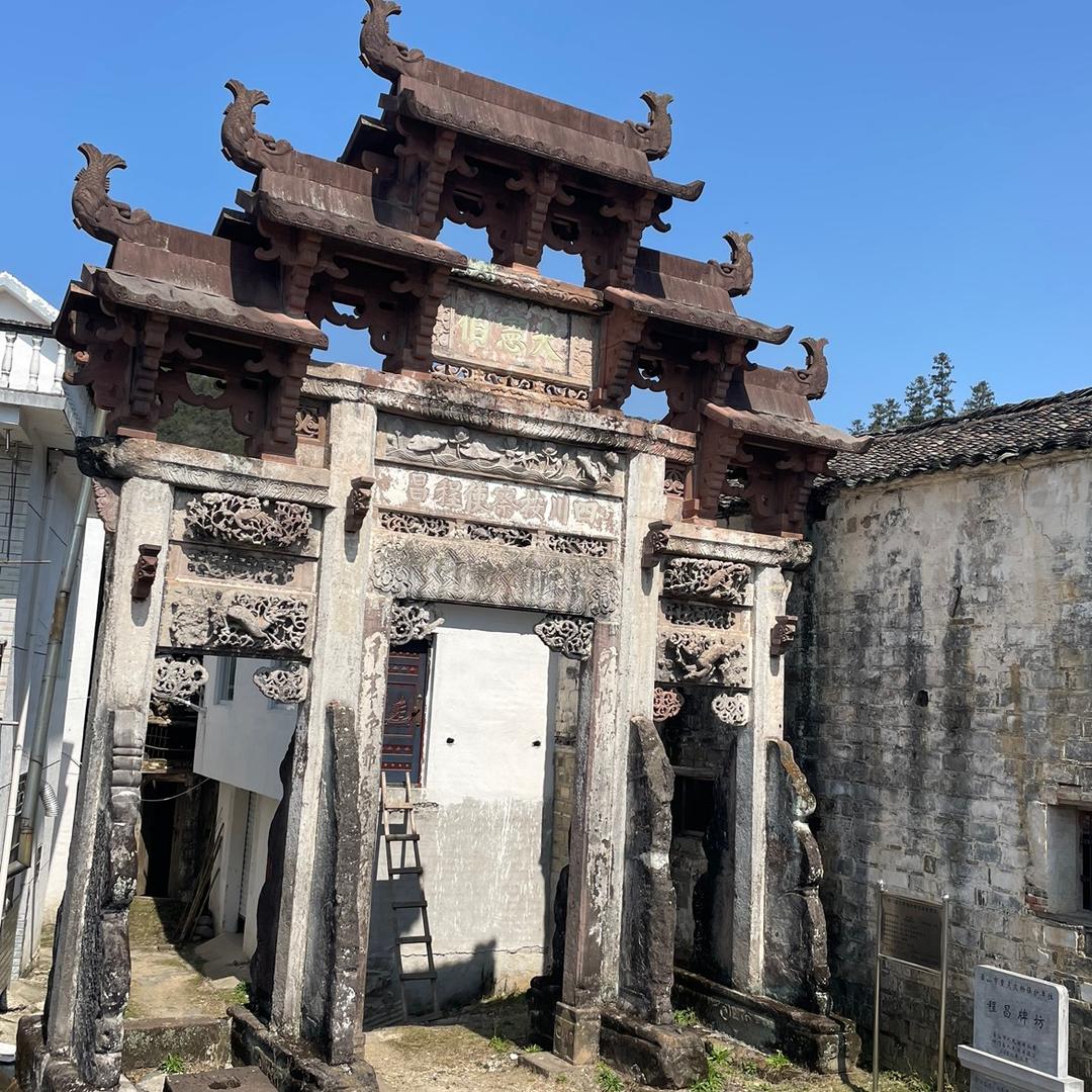 小象