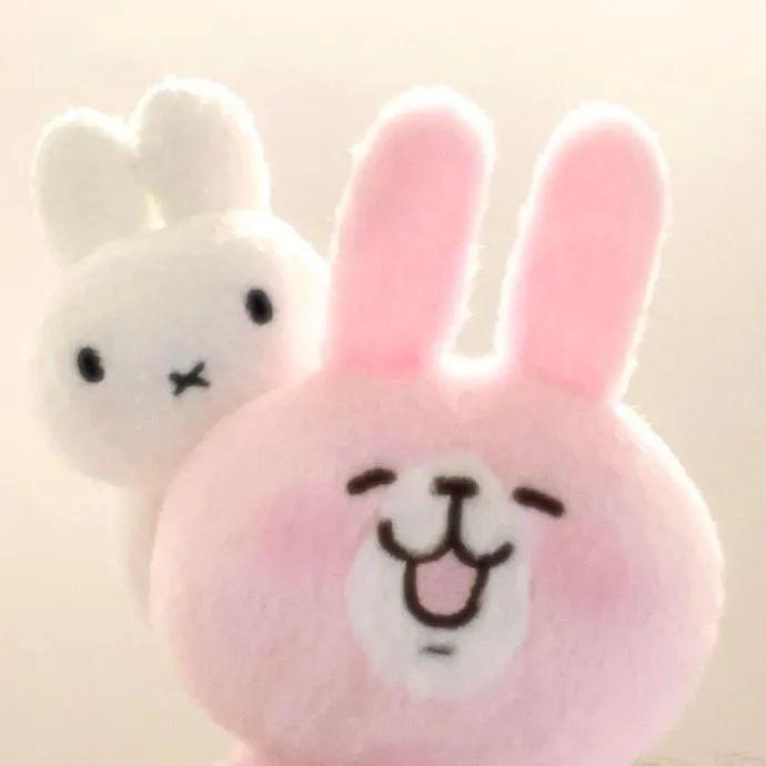 小猪小猪软乎乎