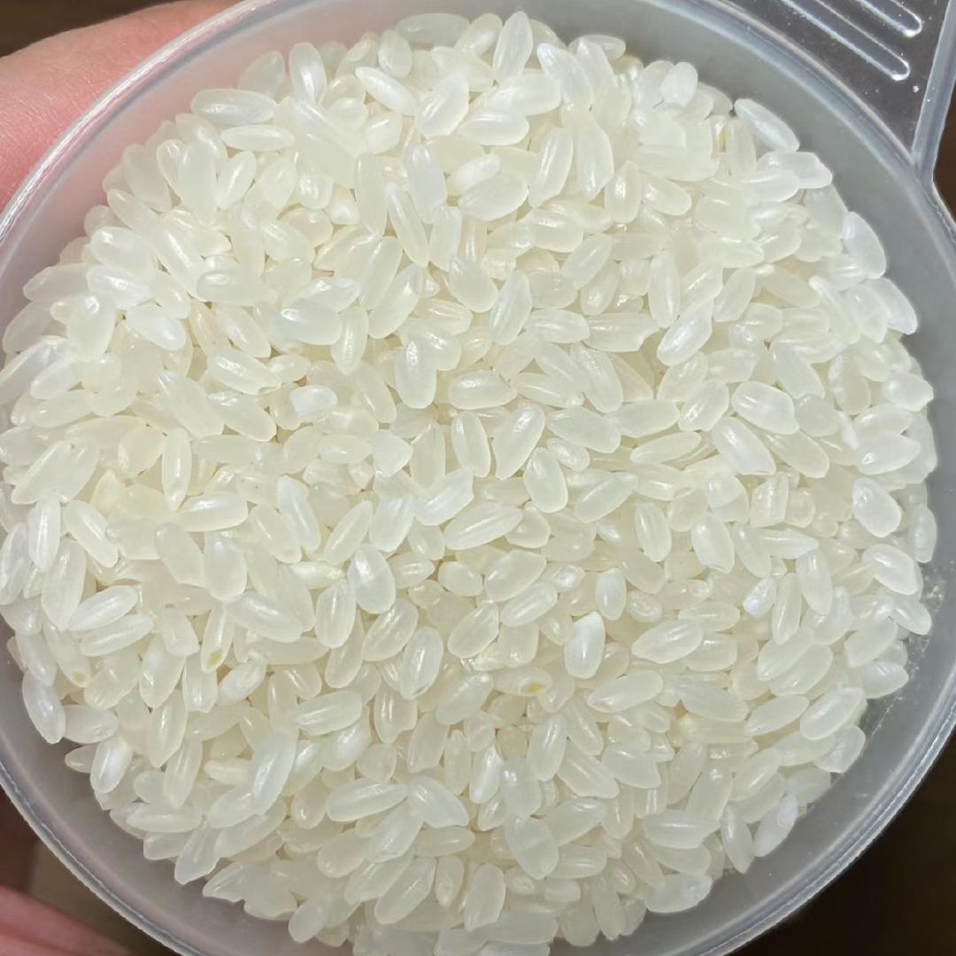 鑫稻田香米