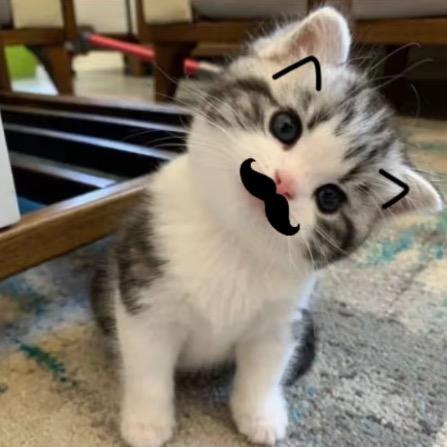 好想用门把自己的脸夹窄