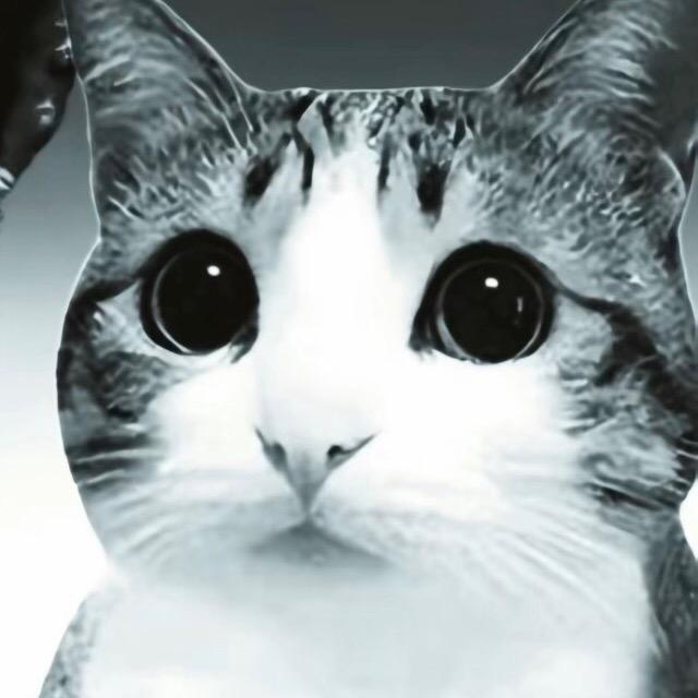 保护小鸟人人有责