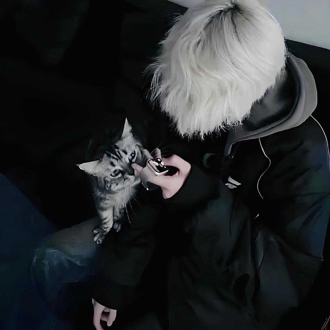 ㅤ     ㅤ     ㅤ
