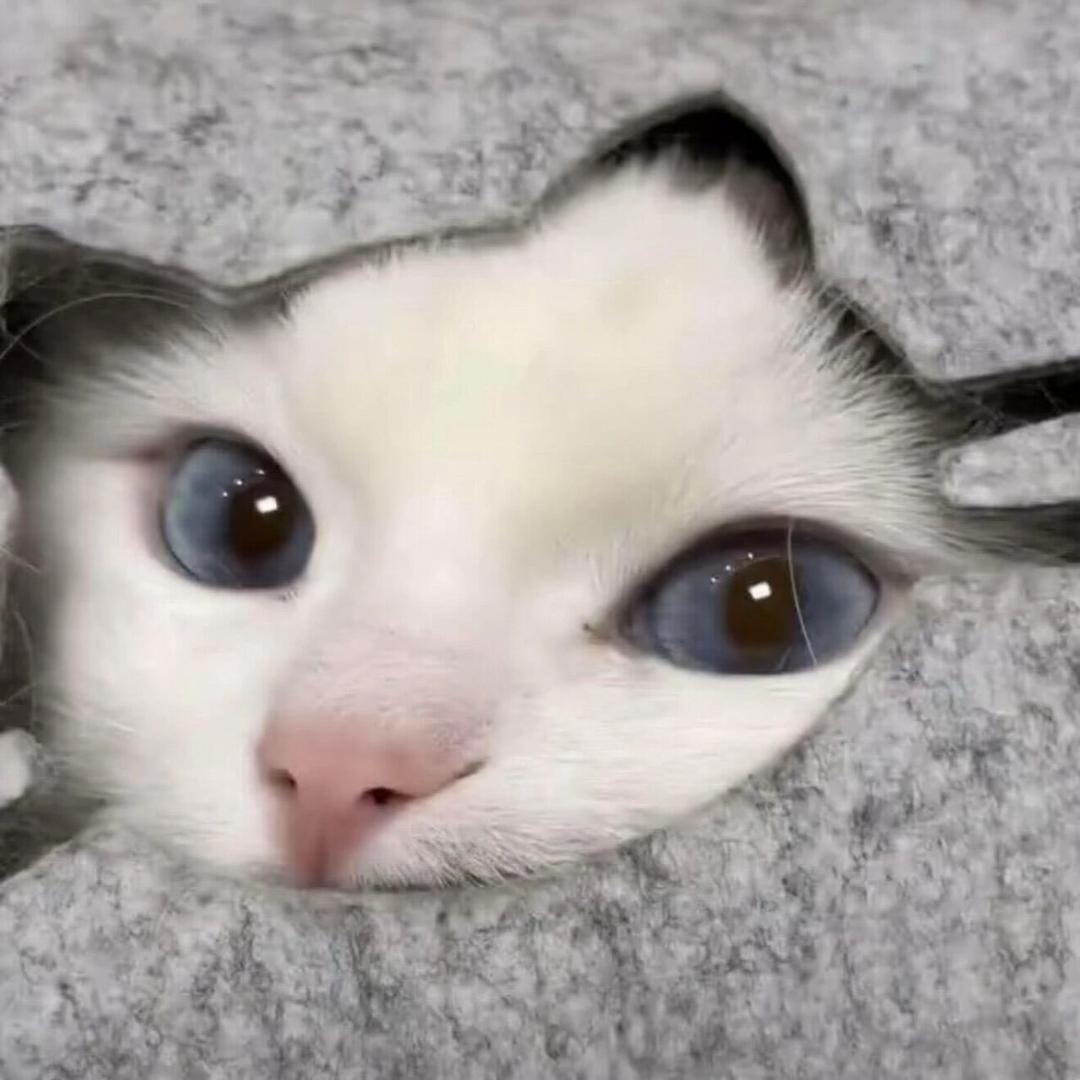 浩子