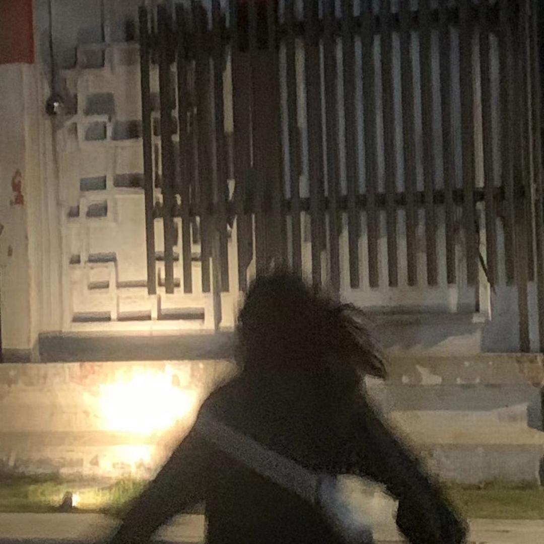 猪猪猪