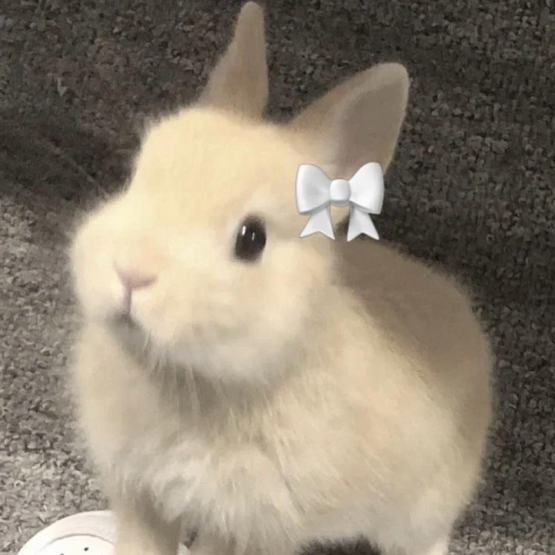 嘟嘟o3o