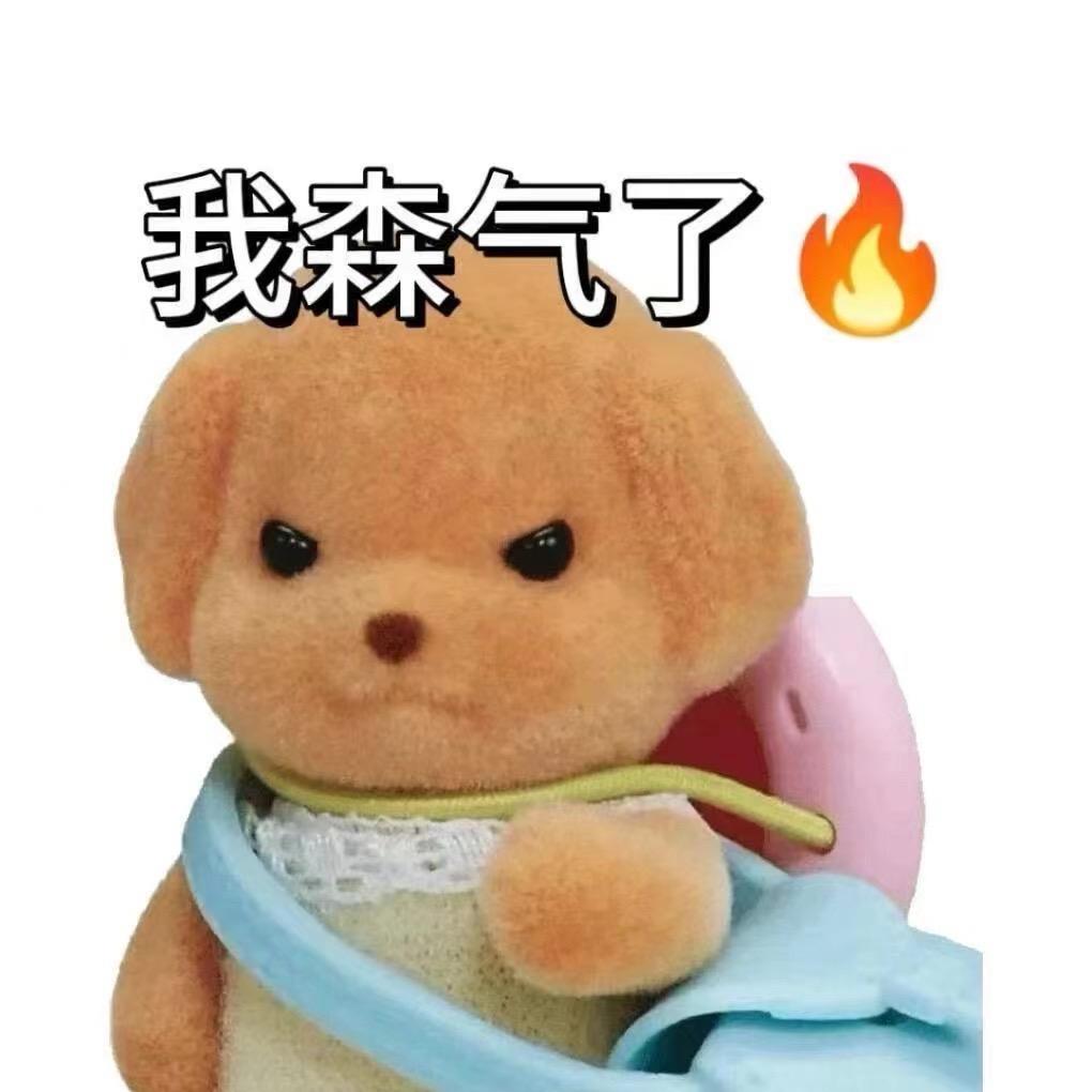 雨季小子