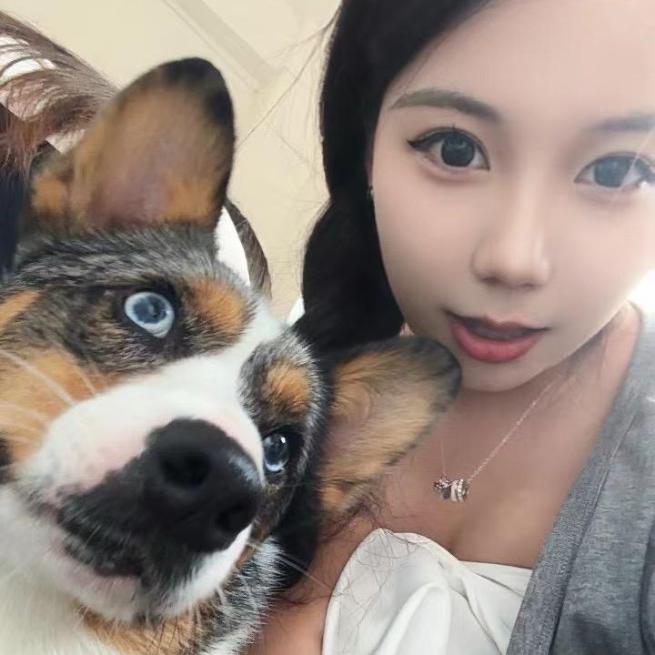 迷斯拉