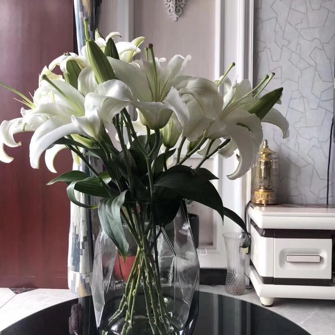 （”༣”“ꦿ”）