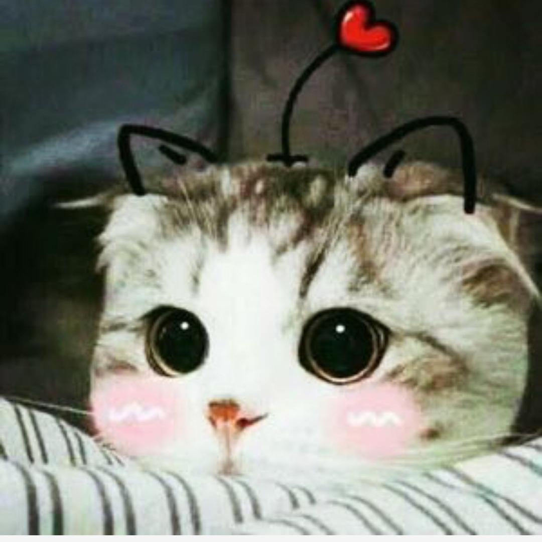 安里着迷