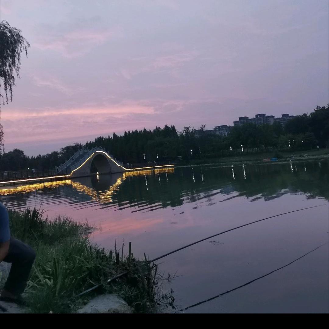 《财运》