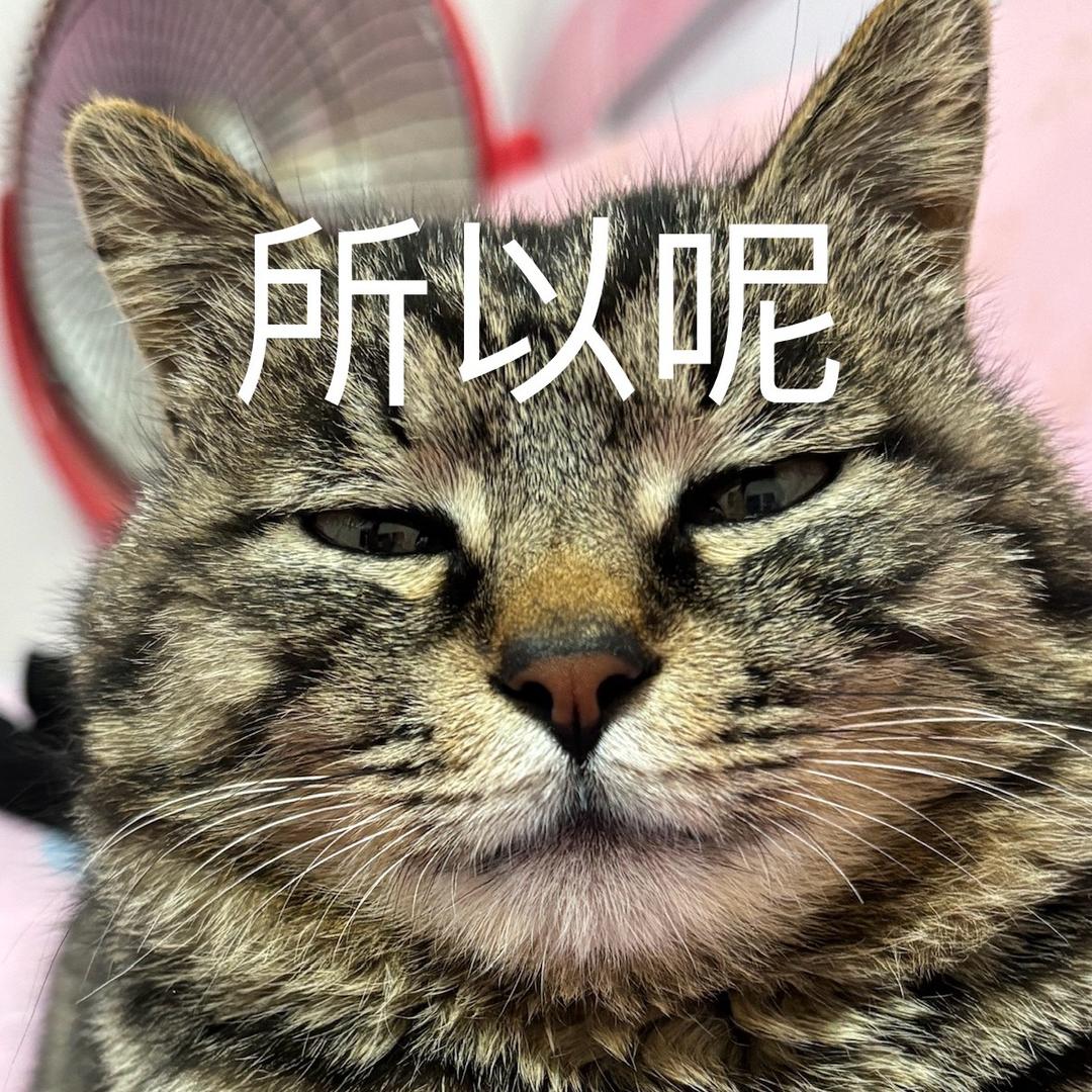 领进门.