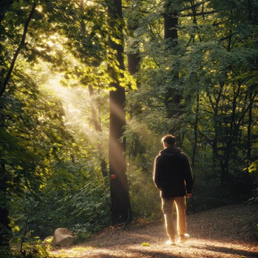 熊出没露营地（鹏先生）