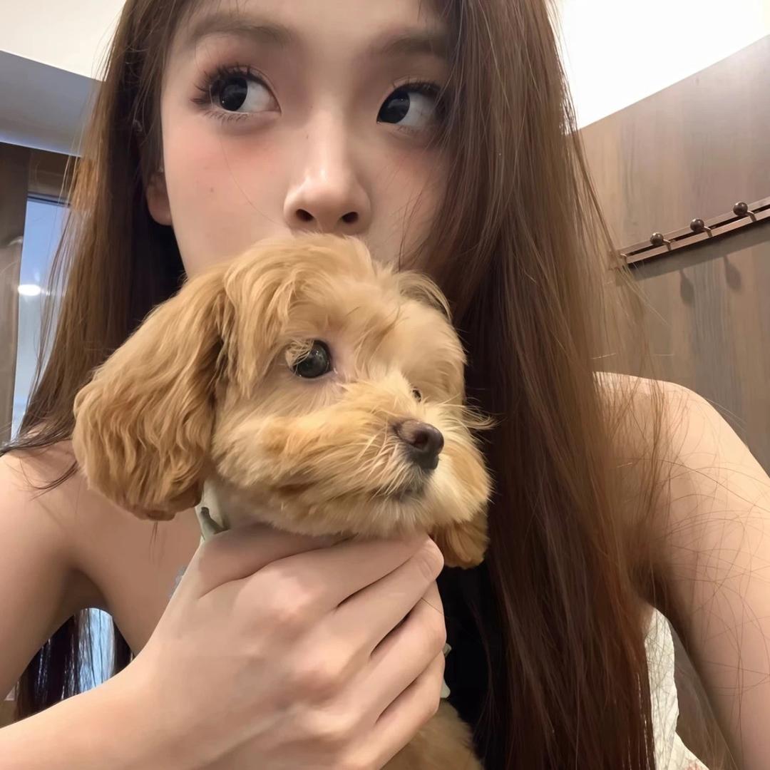 爱吃锅摊烧饼的武博头像