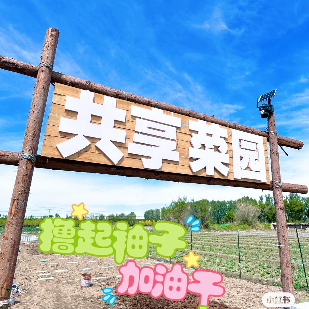 乌鲁木齐共享菜园