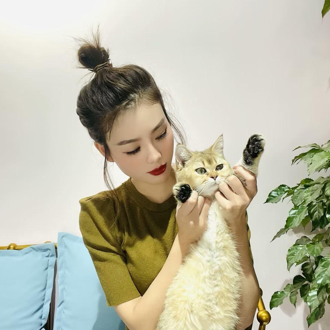廷廷 的猫🐱