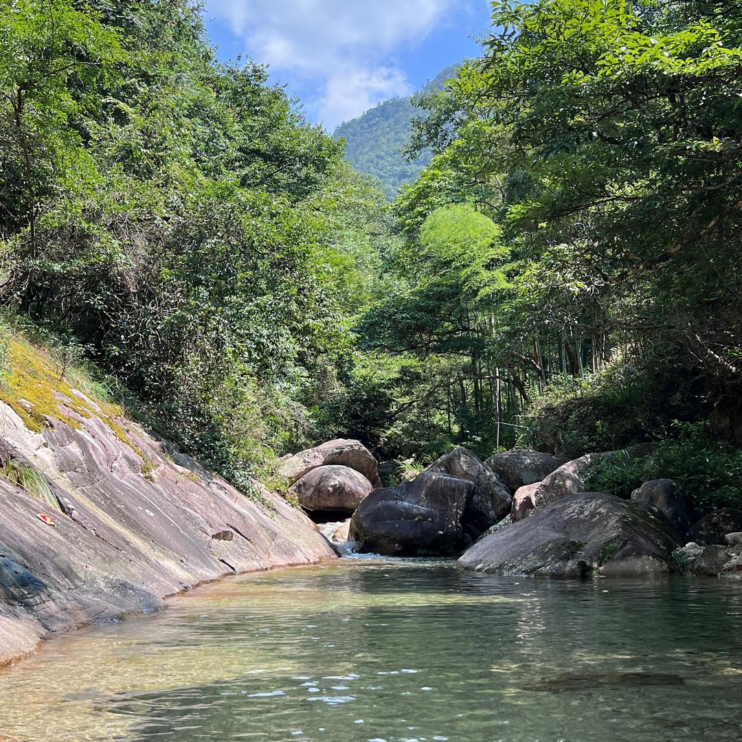 丁未