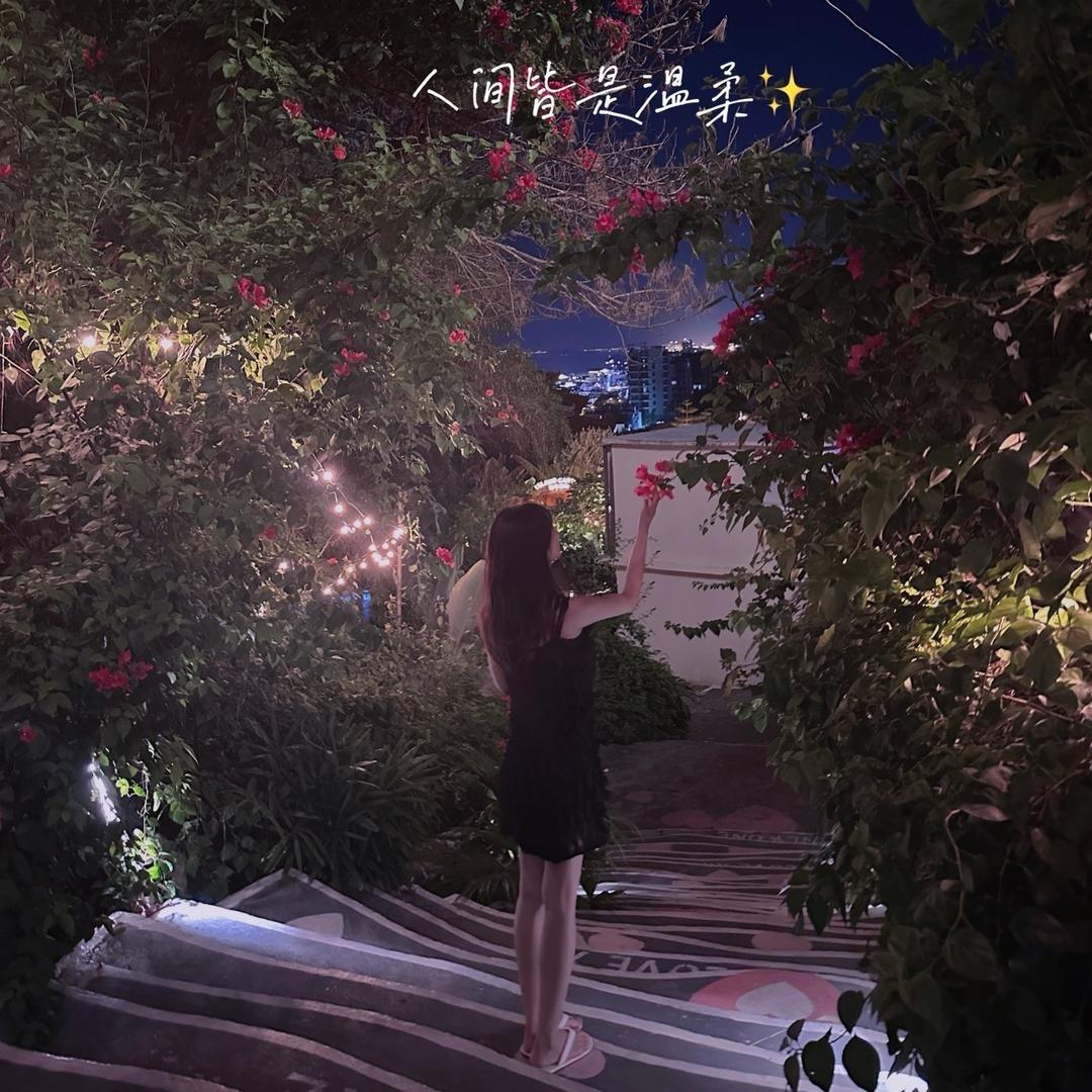 🍦𝙎𝙪𝙢𝙢𝙚𝙧。