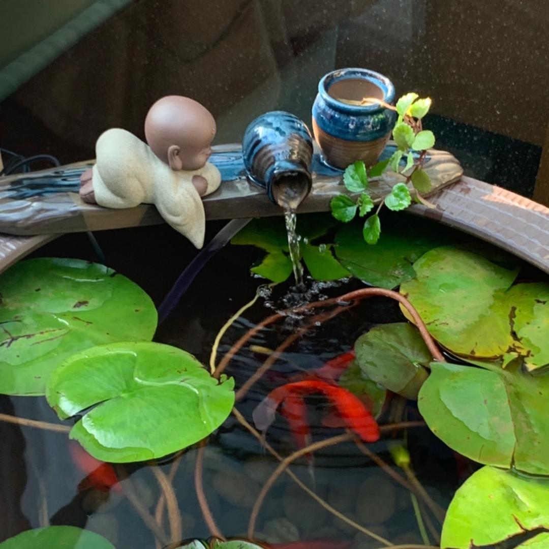 尚瓷茶器