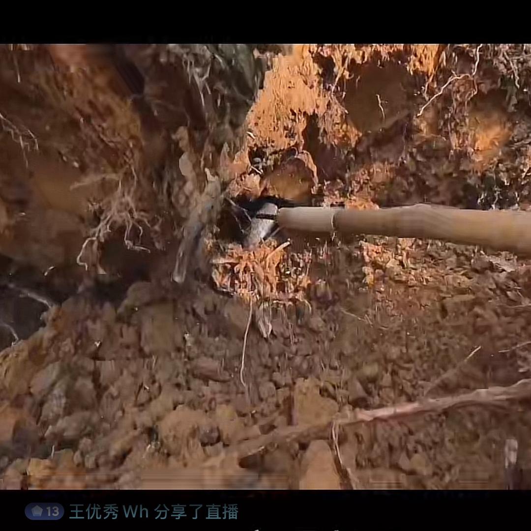 冀D 阿云