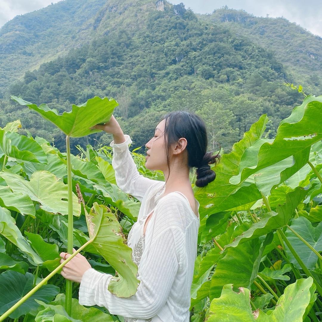 栗子要熟