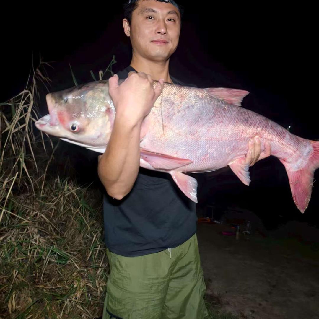毛弟钓鱼-