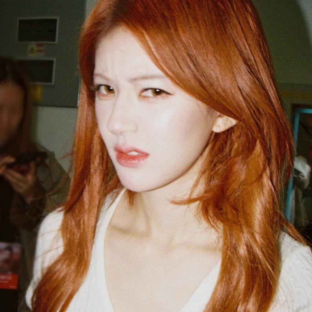 周末给ysx粉丝开智来了