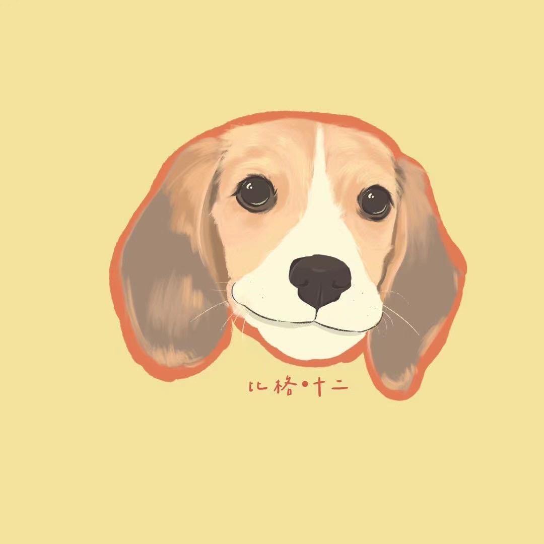 比格十二不拆家