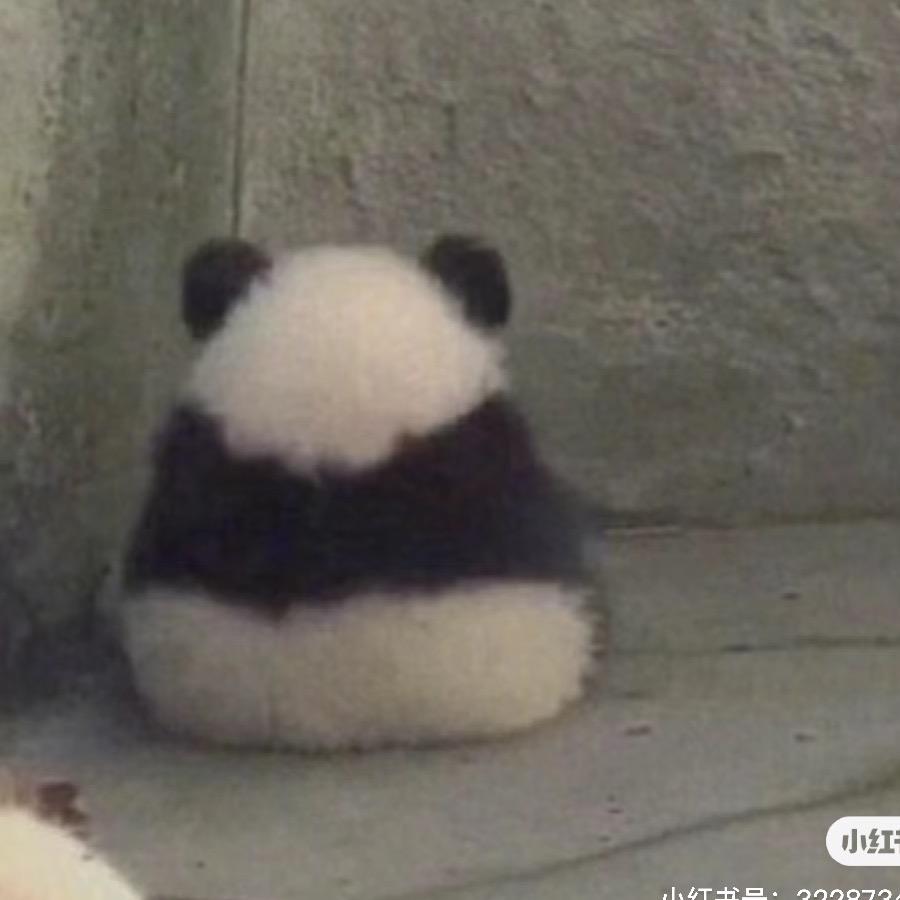 发光的塔米