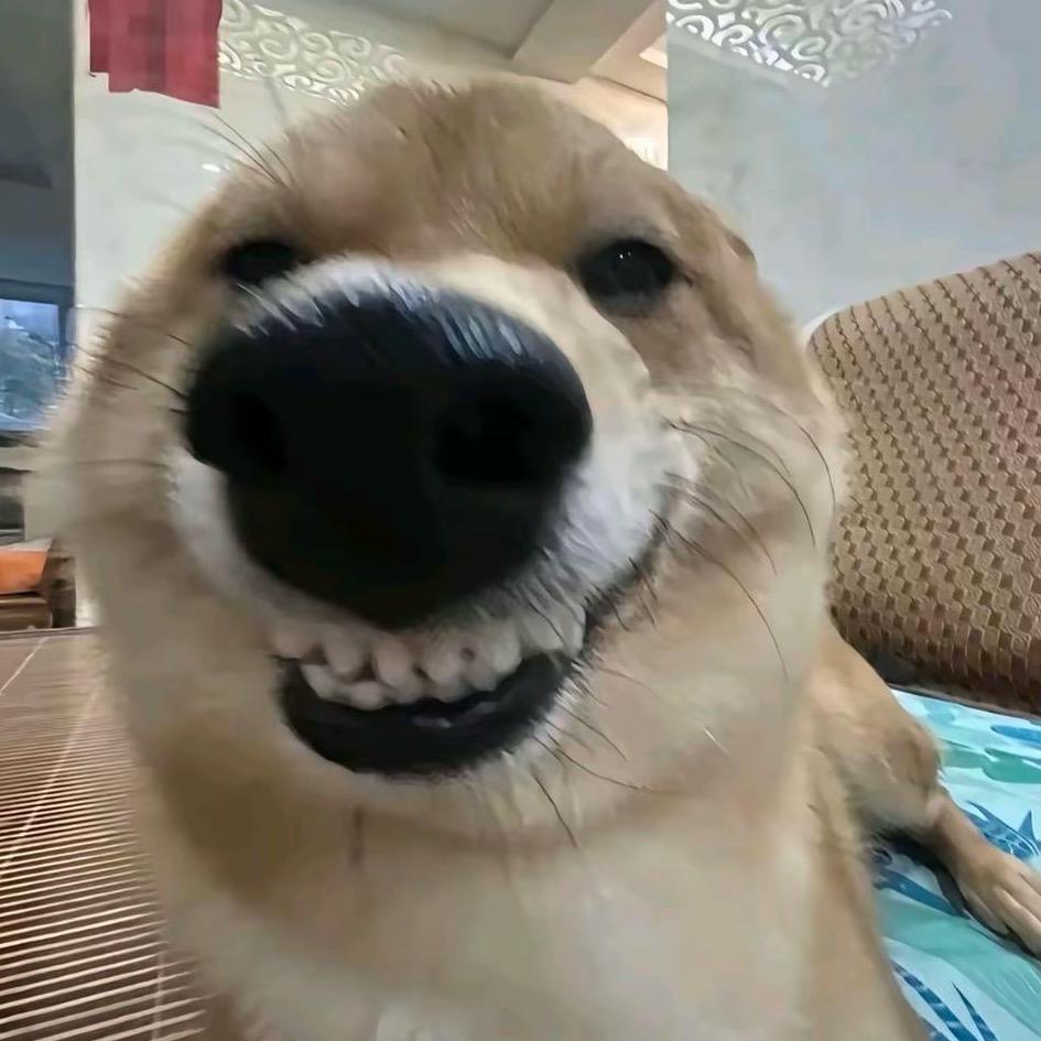 随心而安