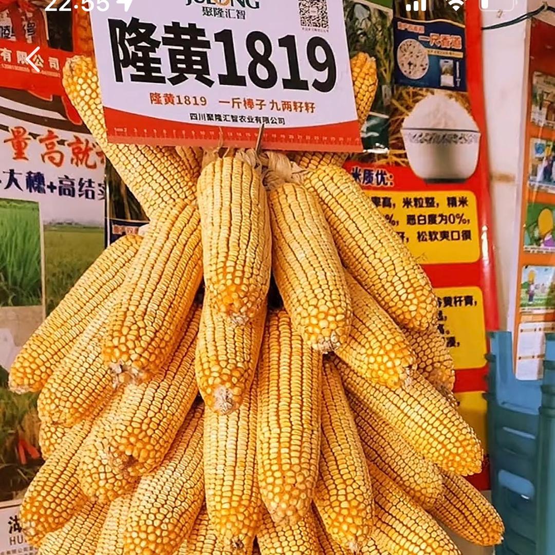 保山禾元农业刘勇