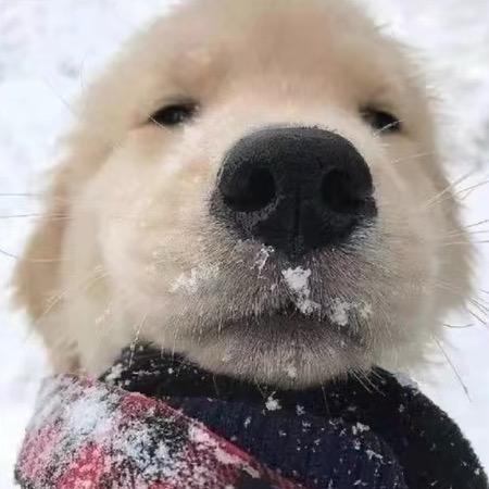 灰冷阴郁