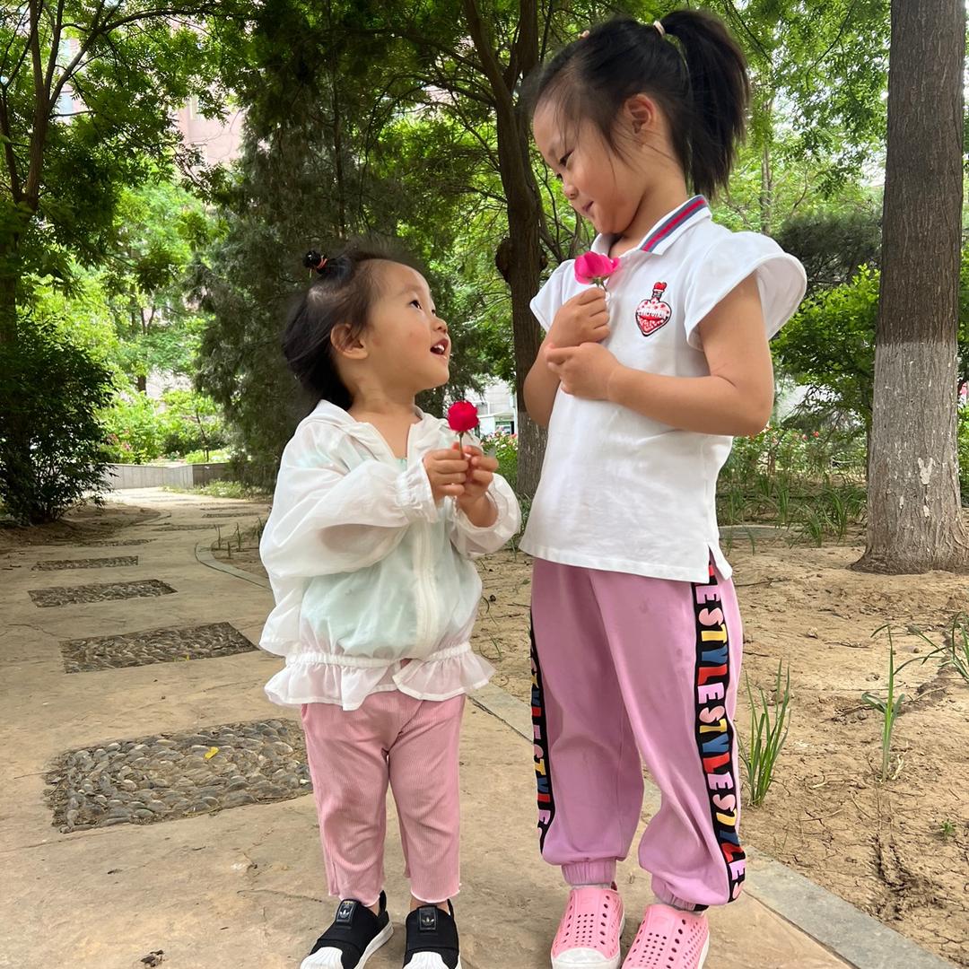十六妈妈