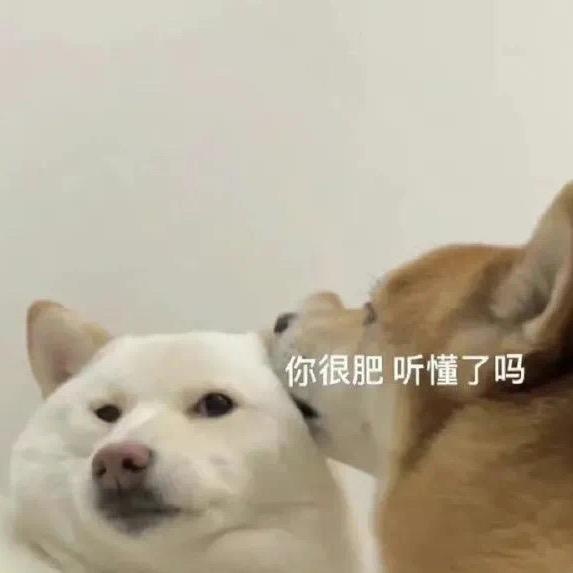 你是猪嘛