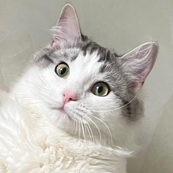 哆哆探剧（收徒中）@抖音