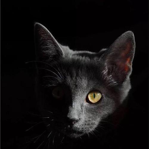 我突然释怀的笑