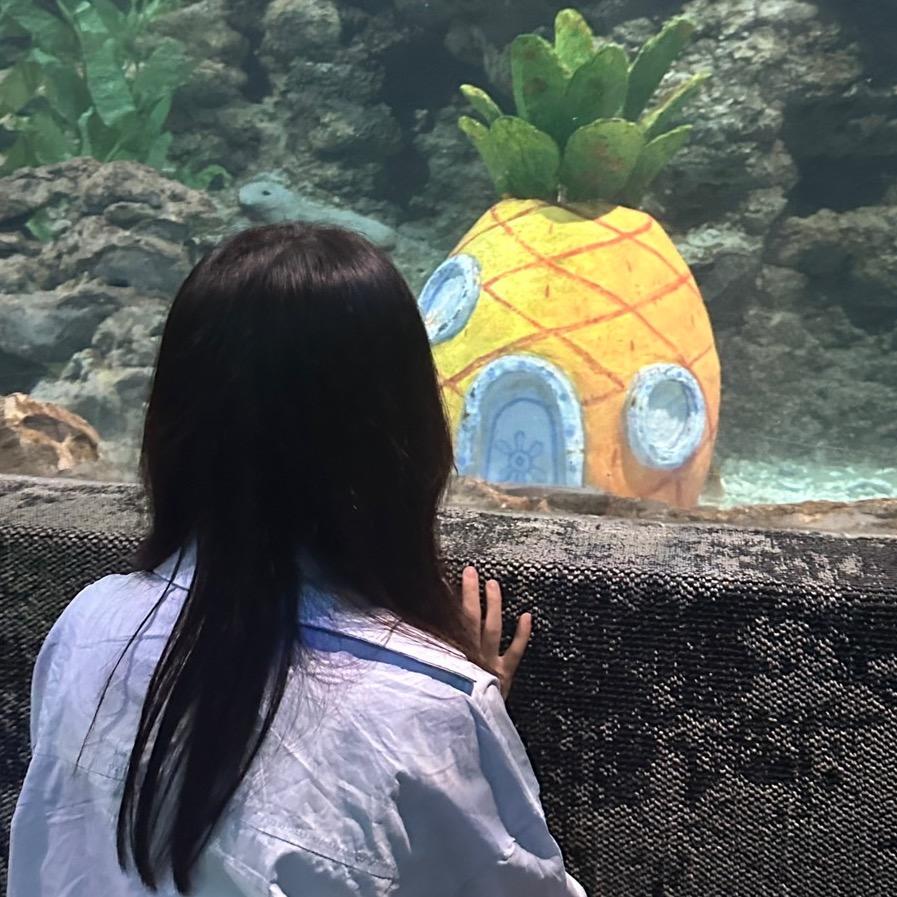 姚不是桃